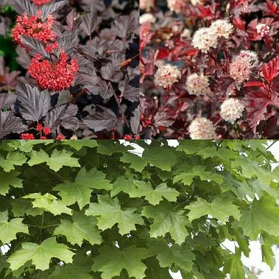 Комплект ОСЕННИЙ КОСТЕР в Пензе