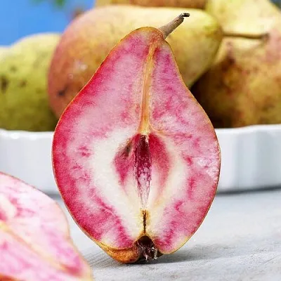 Груша БЛЮТБЕРН  Груша БЛЮТБЕРН в Пензе