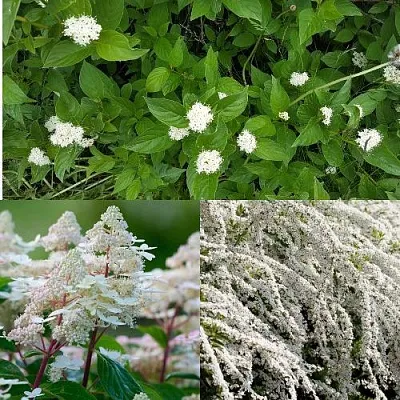 Комплект СКАНДИНАВСКИЙ СТИЛЬ в Пензе