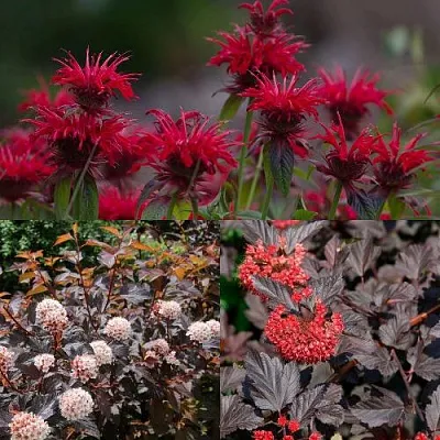 Комплект ОГНЕННЫЙ МИКС в Пензе