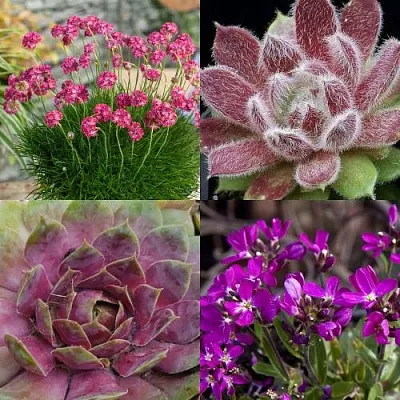 Комплект МИНИ САД в Пензе