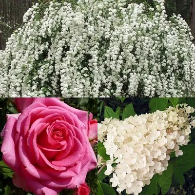 Комплект ВЕЧНАЯ КЛАССИКА в Пензе